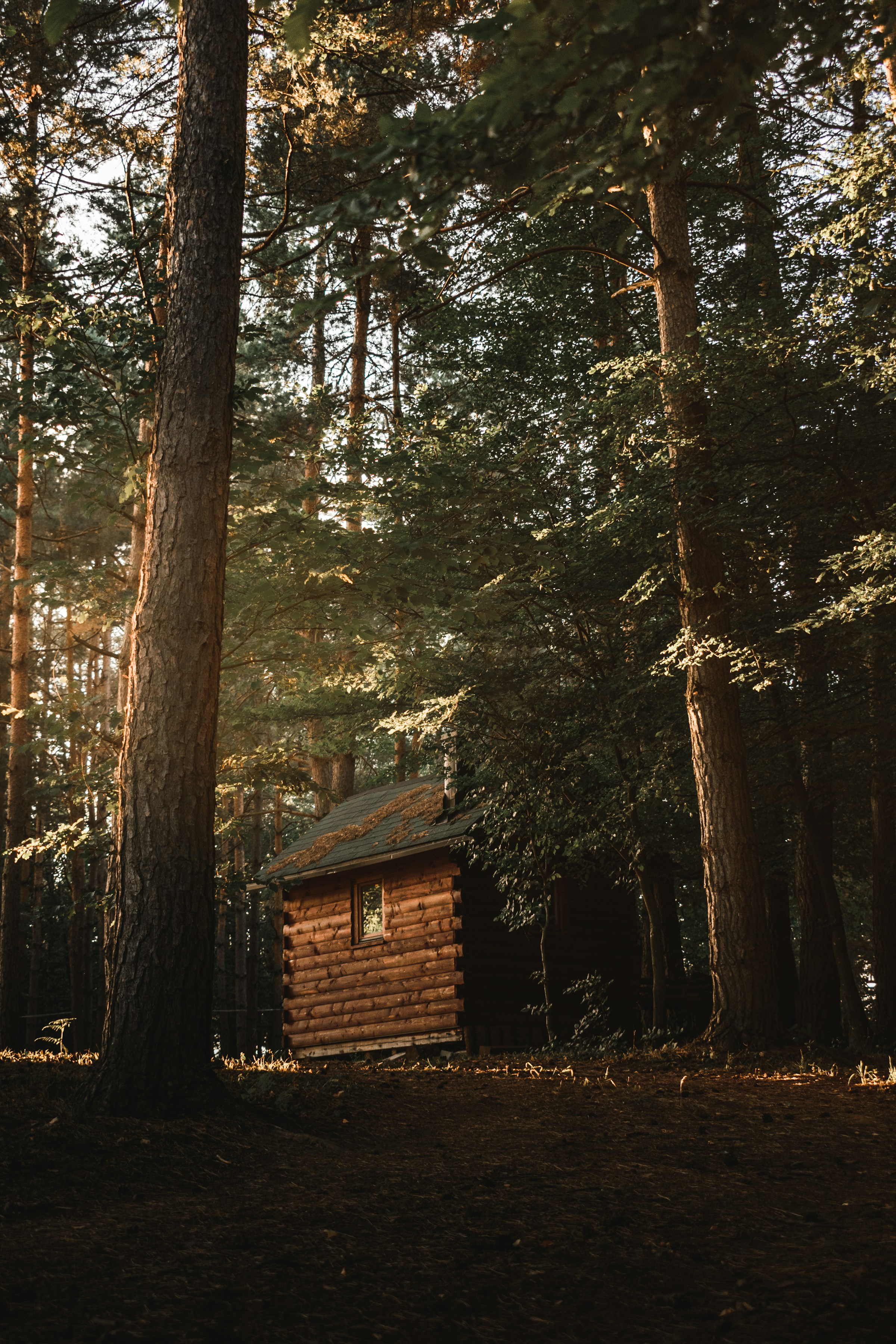 Imagen con fines ilustrativos | Foto: Unsplash