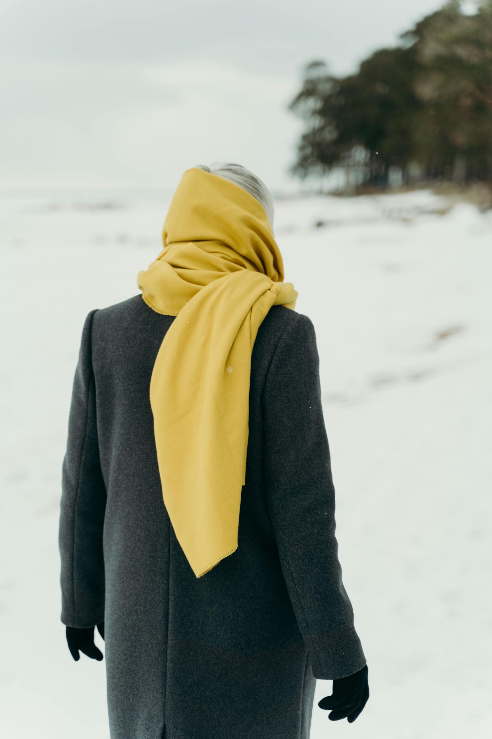 Vista trasera de una mujer mayor con abrigo y bufanda amarilla en la nieve | Fuente: Pexels