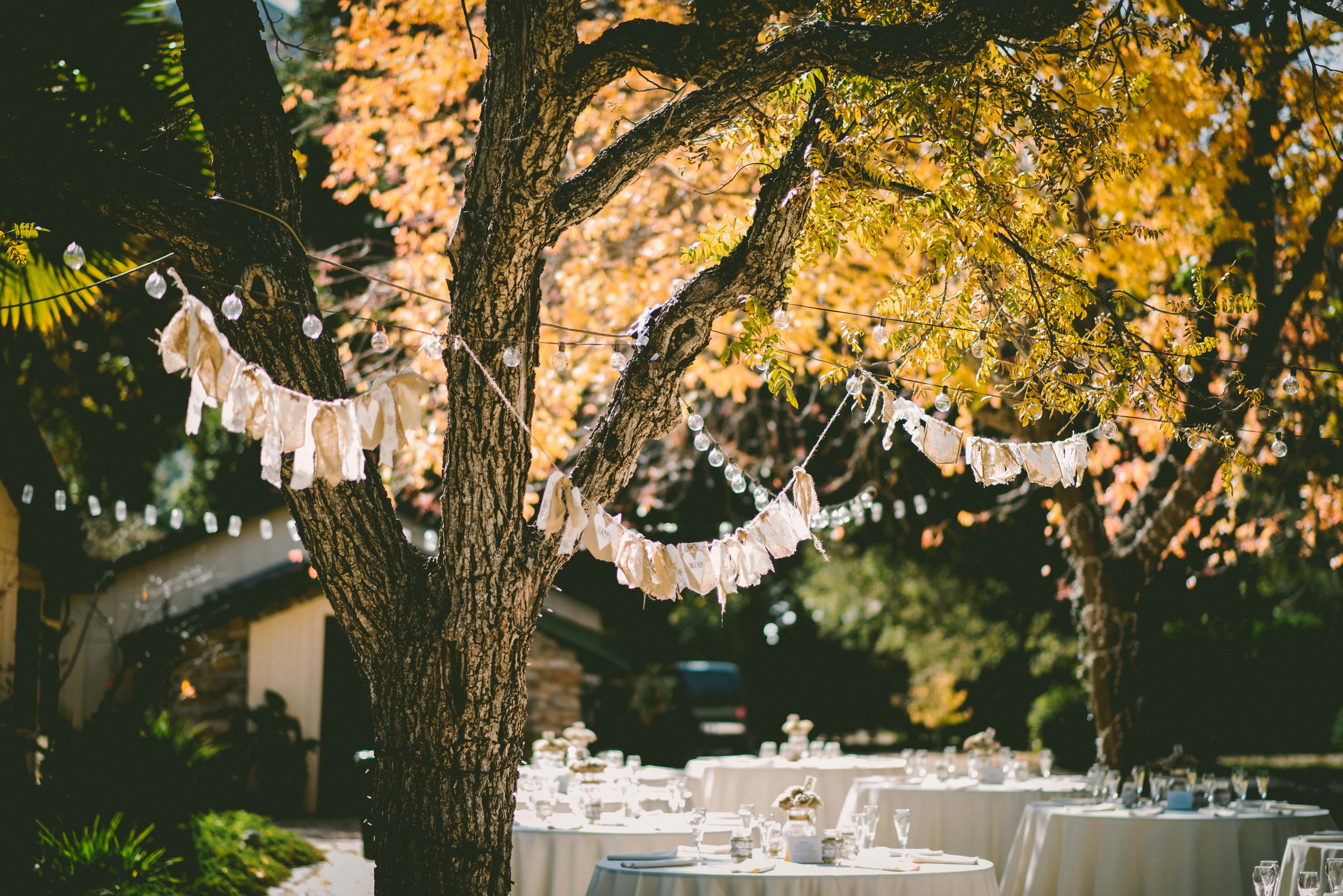 El escenario de una fiesta en el patio trasero | Fuente: Pexels