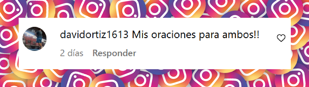 Comentario de un usuario tras el comunicado compartido en la cuenta de Instagram de Vanessa Guzmán | Fuente: Instagram/vanessaguzmann