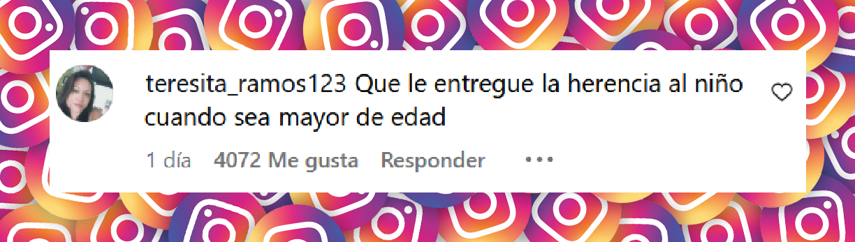 Comentario de una usuaria sobre el encuentro de Imelda Garza Tuñón y Maribel Guardia en el juzgado por la herencia de su nieto José Julián | Fuente: Instagram/elgordoylaflaca