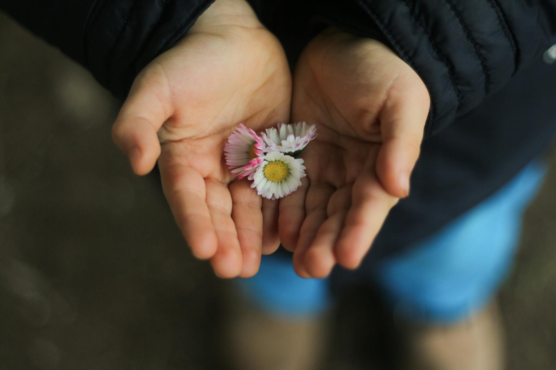 Un niño con flores | Fuente: Pexels