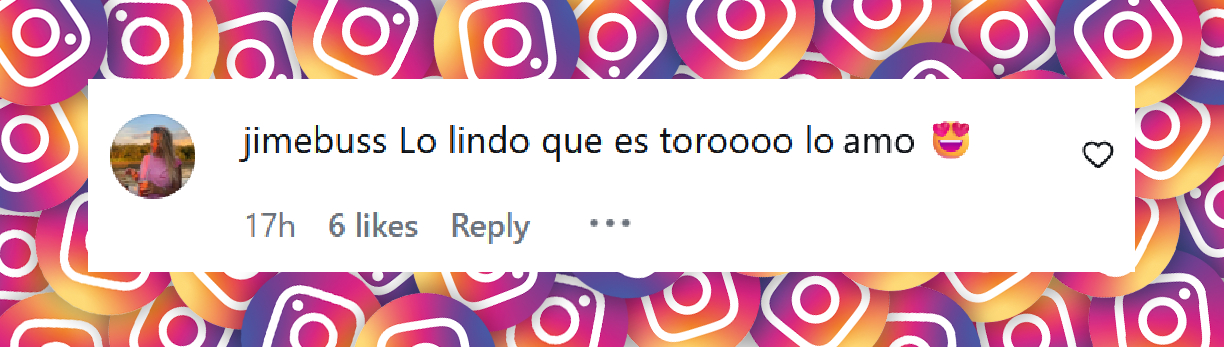 Comentario de una usuaria sobre la fotografía de Juana Repetto junto a sus dos hijos | Fuente: Instagram/juanarepettook