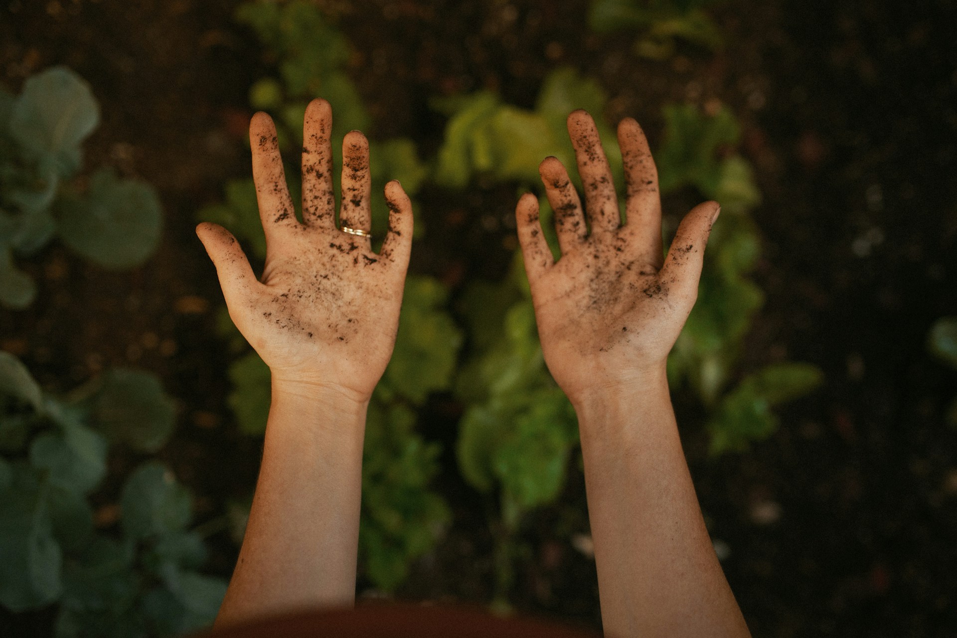 Una persona mostrando sus manos sucias | Fuente: Unsplash