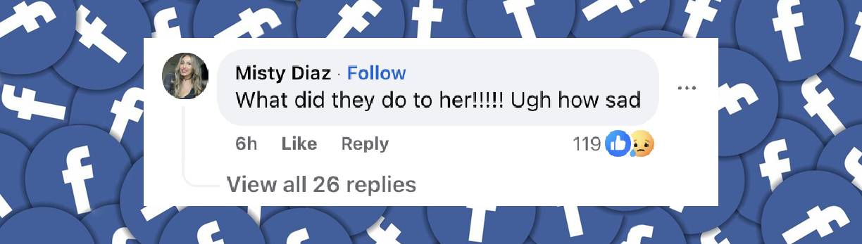 Comentario de un internauta sobre el estado de salud de Wendy Williams, publicado el 26 de noviembre de 2024 | Fuente: Facebook.com/TMZ