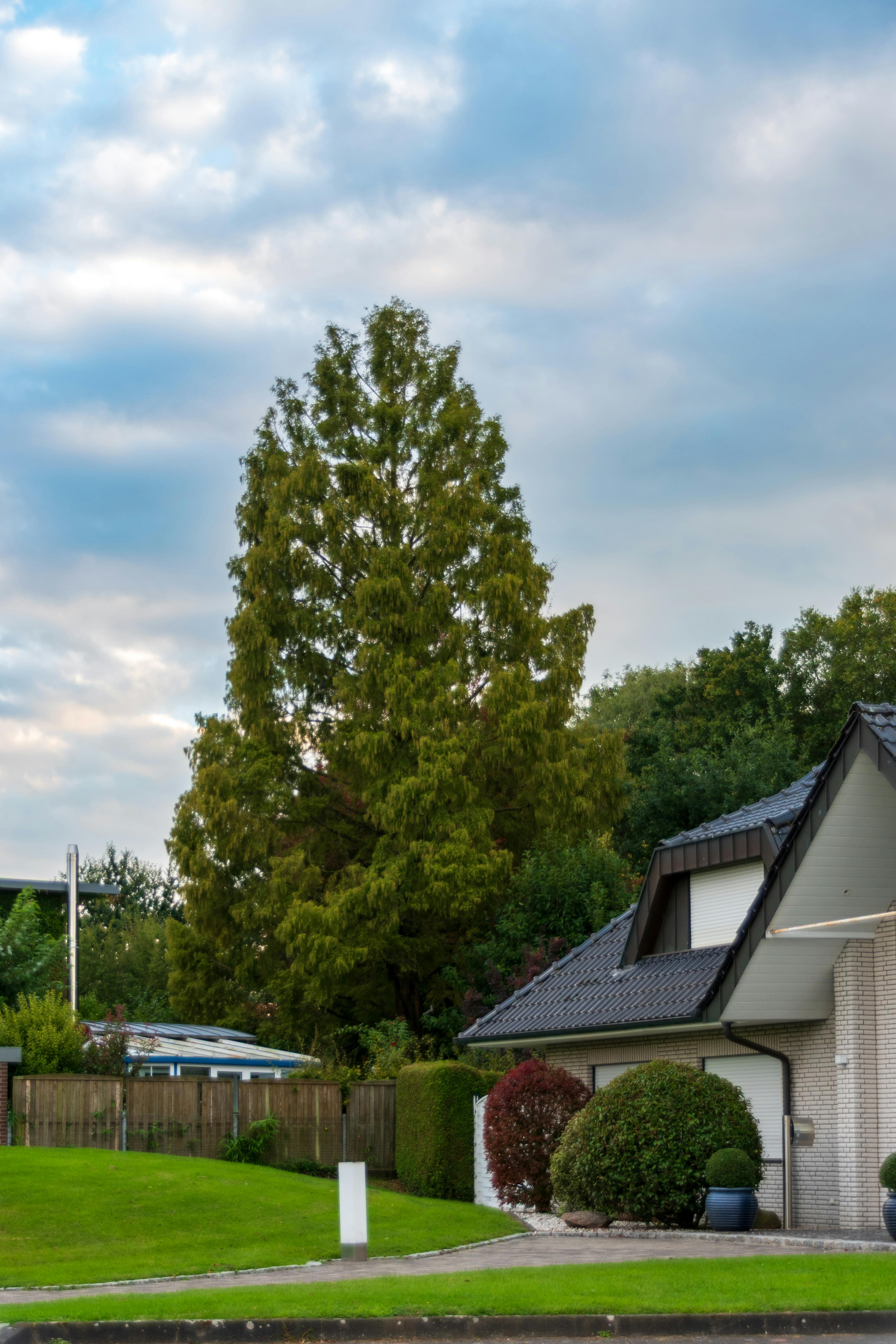 Una casa en un bonito vecindario | Fuente: Pexels