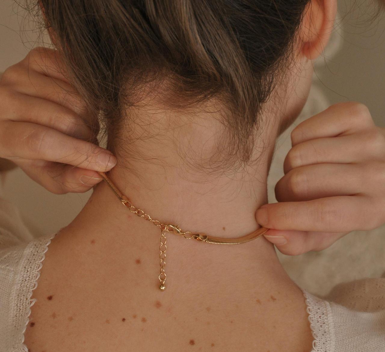 Imagen con fines ilustrativos | Foto: Pexels