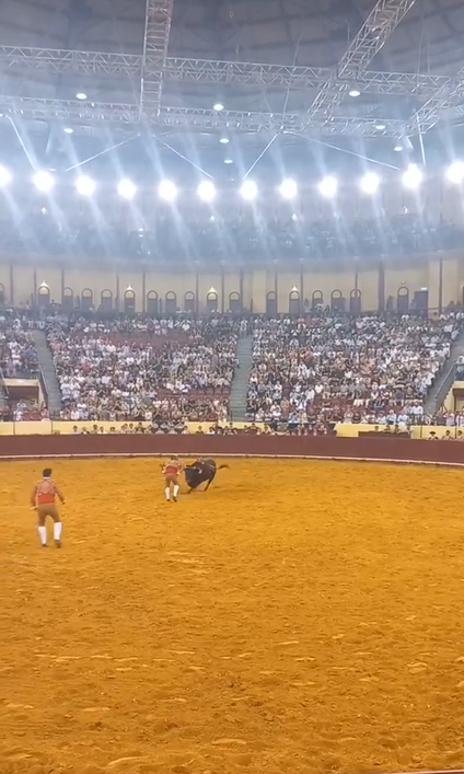 Imágenes previas al momento en que el toro embistió a Manuel María Trindade en la corrida | Fuente: x.com/porqueTTarg