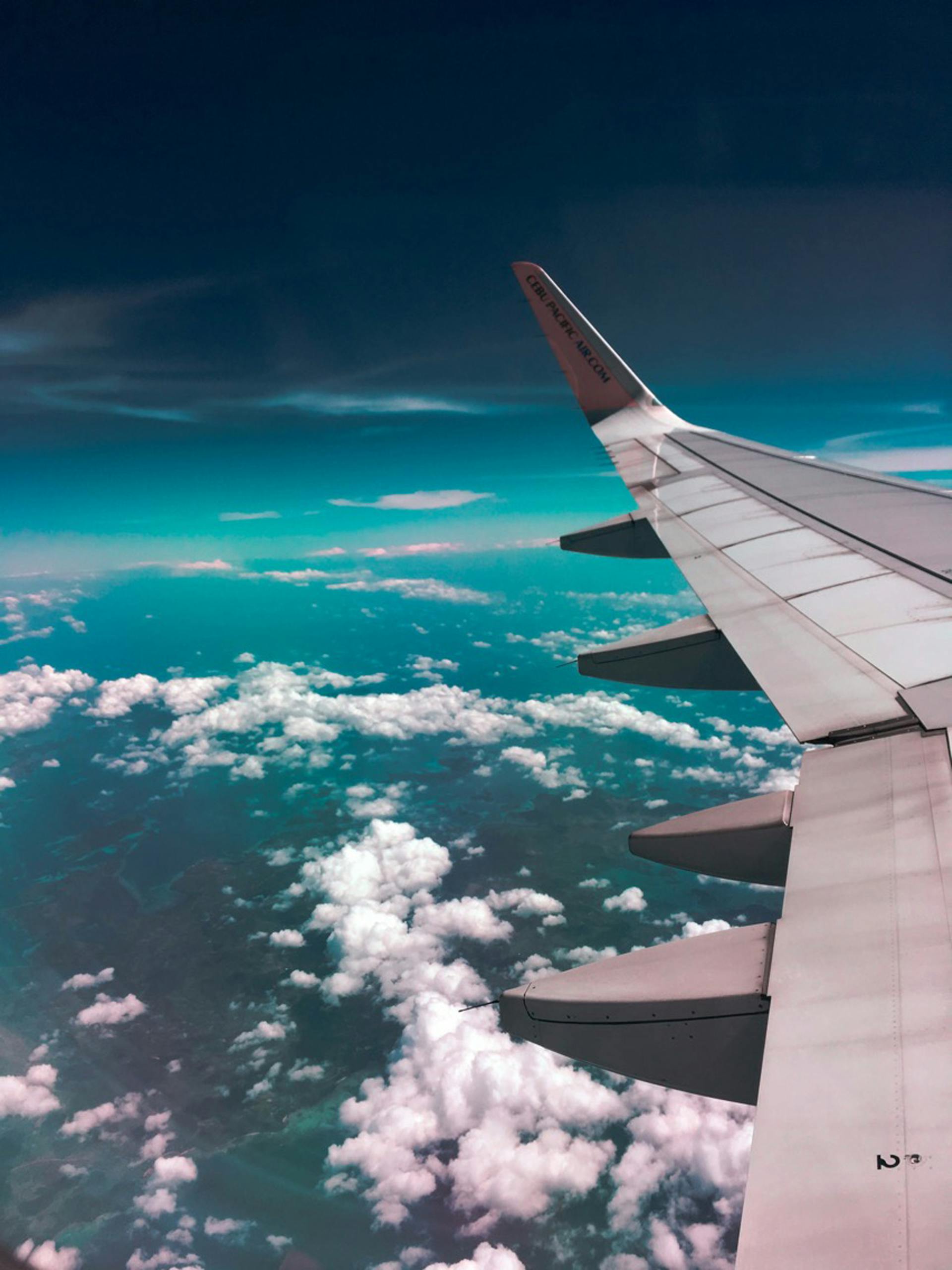 Un ala de avión | Fuente: Pexels