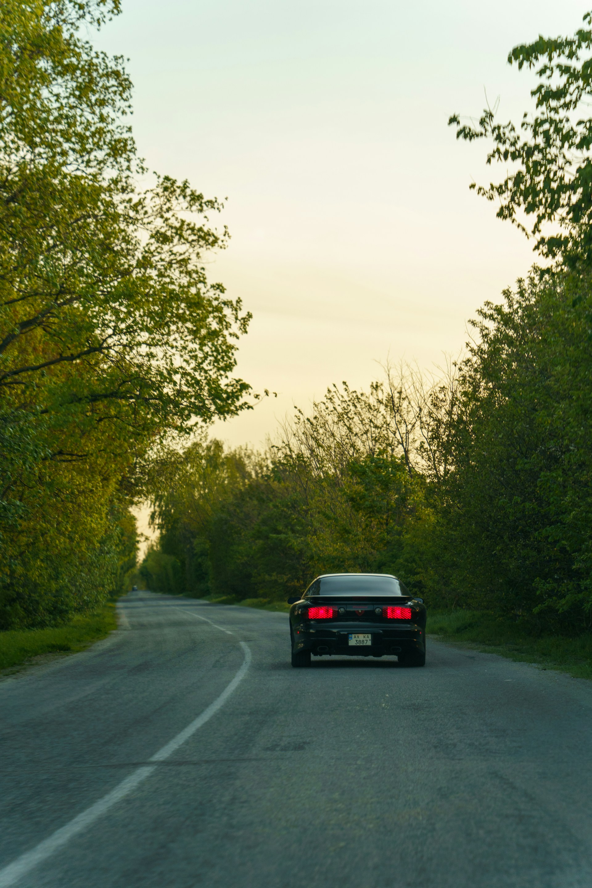 Un automóvil en una carretera arbolada | Fuente: Unsplash