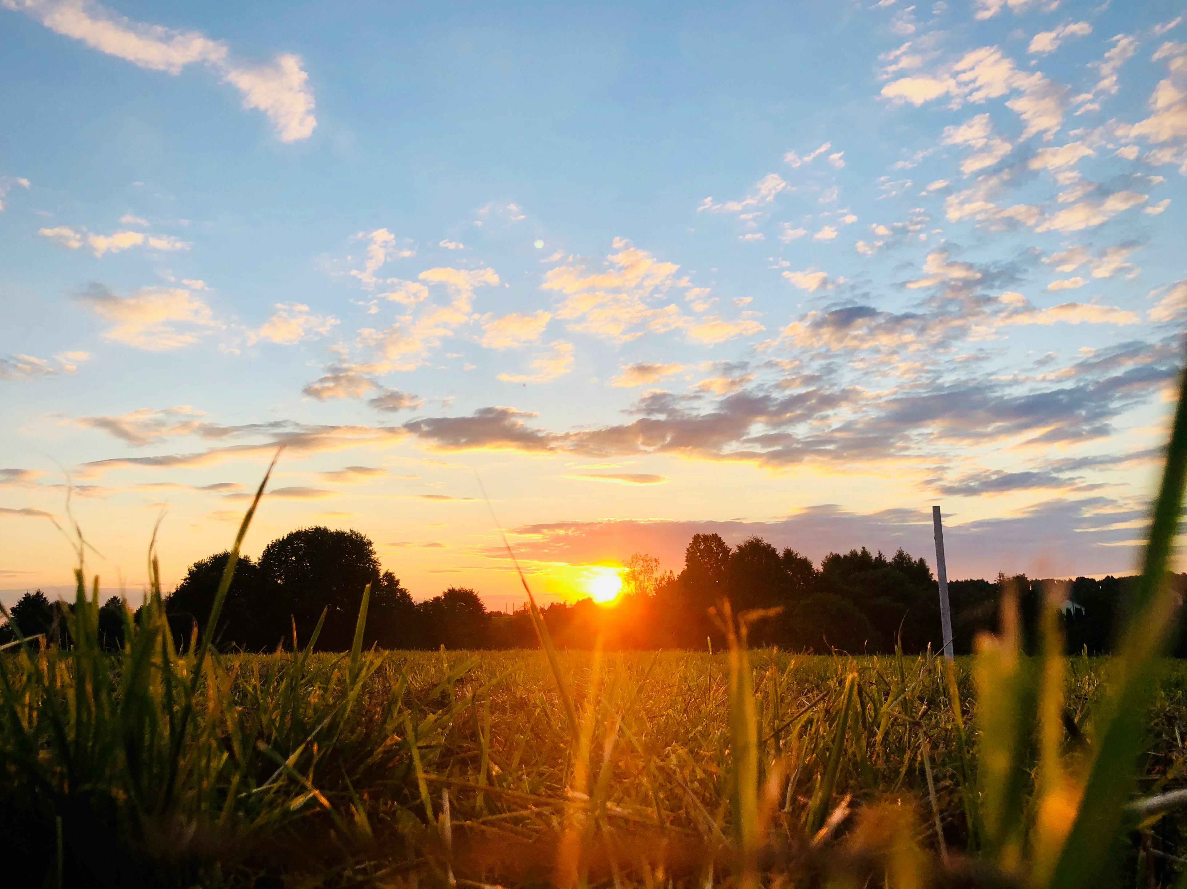 Un hermoso paisaje | Fuente: Unsplash