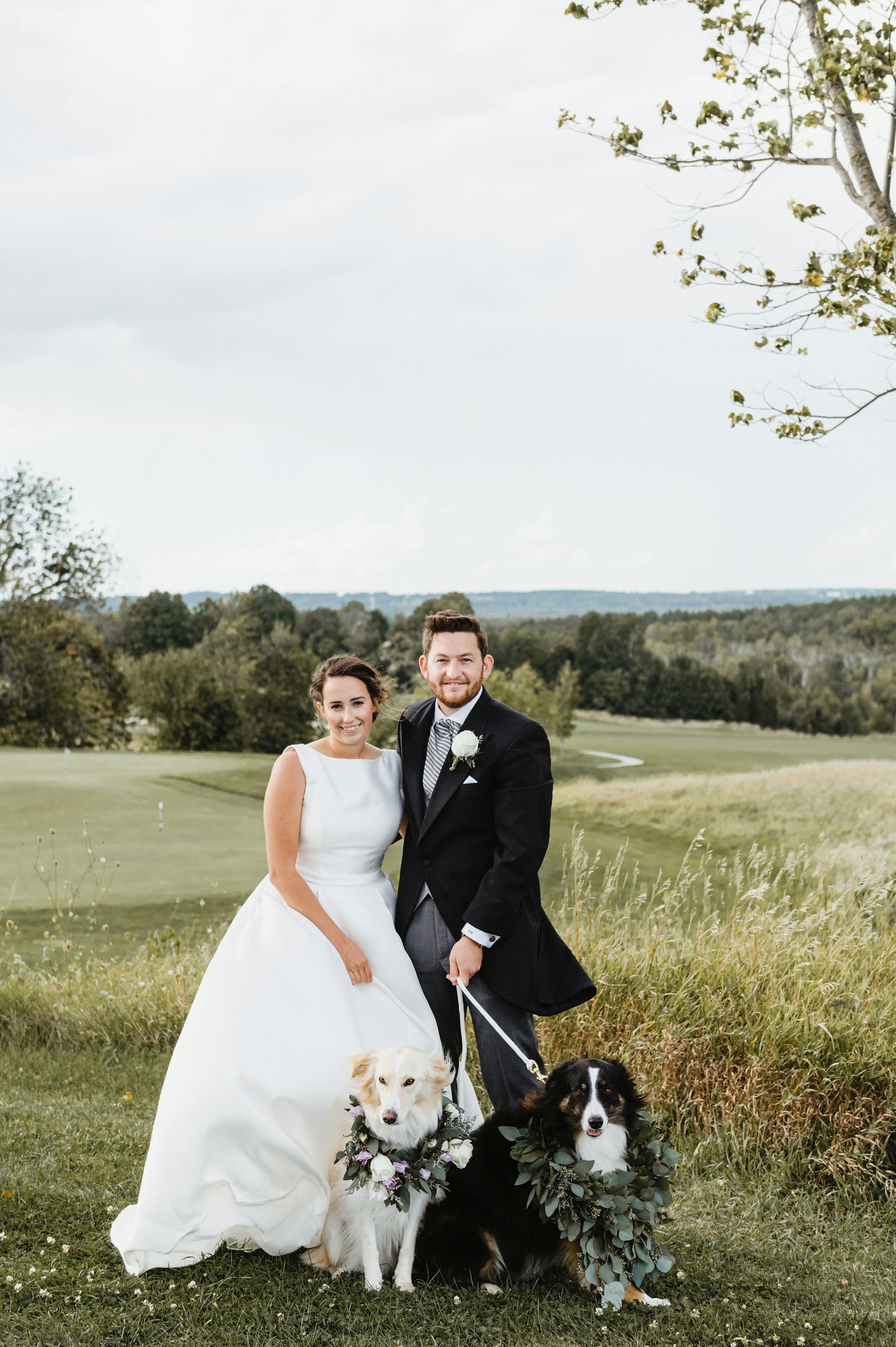 Unos novios en un campo de hierba con sus perros | Fuente: Unsplash