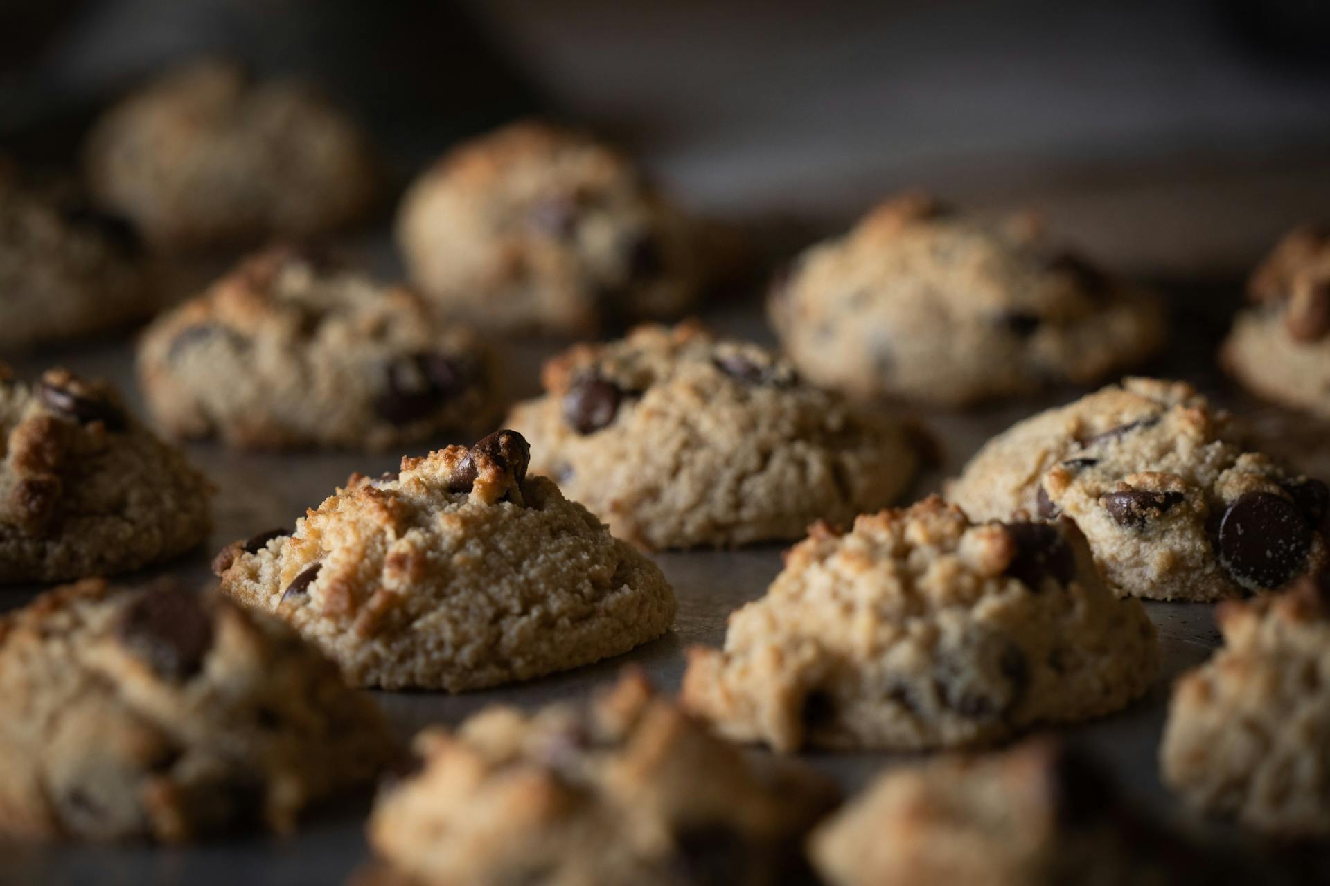 Galletas de chocolate en una bandeja de horno | Fuente: Pexels