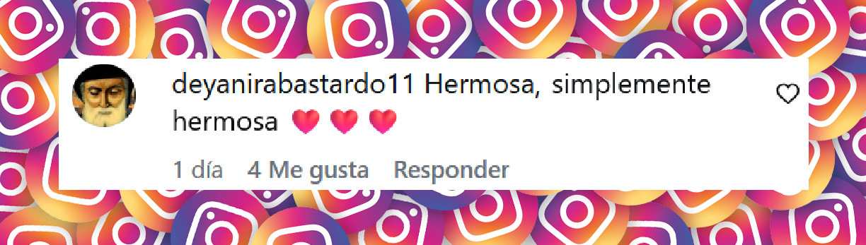 Comentario de una usuaria sobre la publicación de Ana Obregón con su vestido floral en las afueras del plató de "Y ahora Sonsoles" | Fuente: Instagram/ana_obregon_oficial