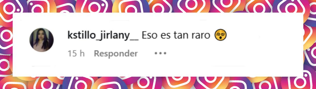 Comentario de una seguidora | Fuente: Instagram/katedelcastillo