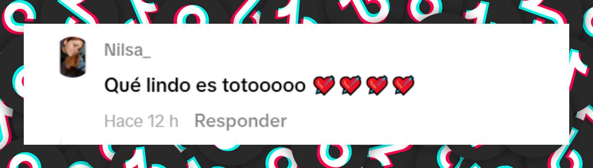 Comentario de una usuaria | TikTok/elshowdelverano