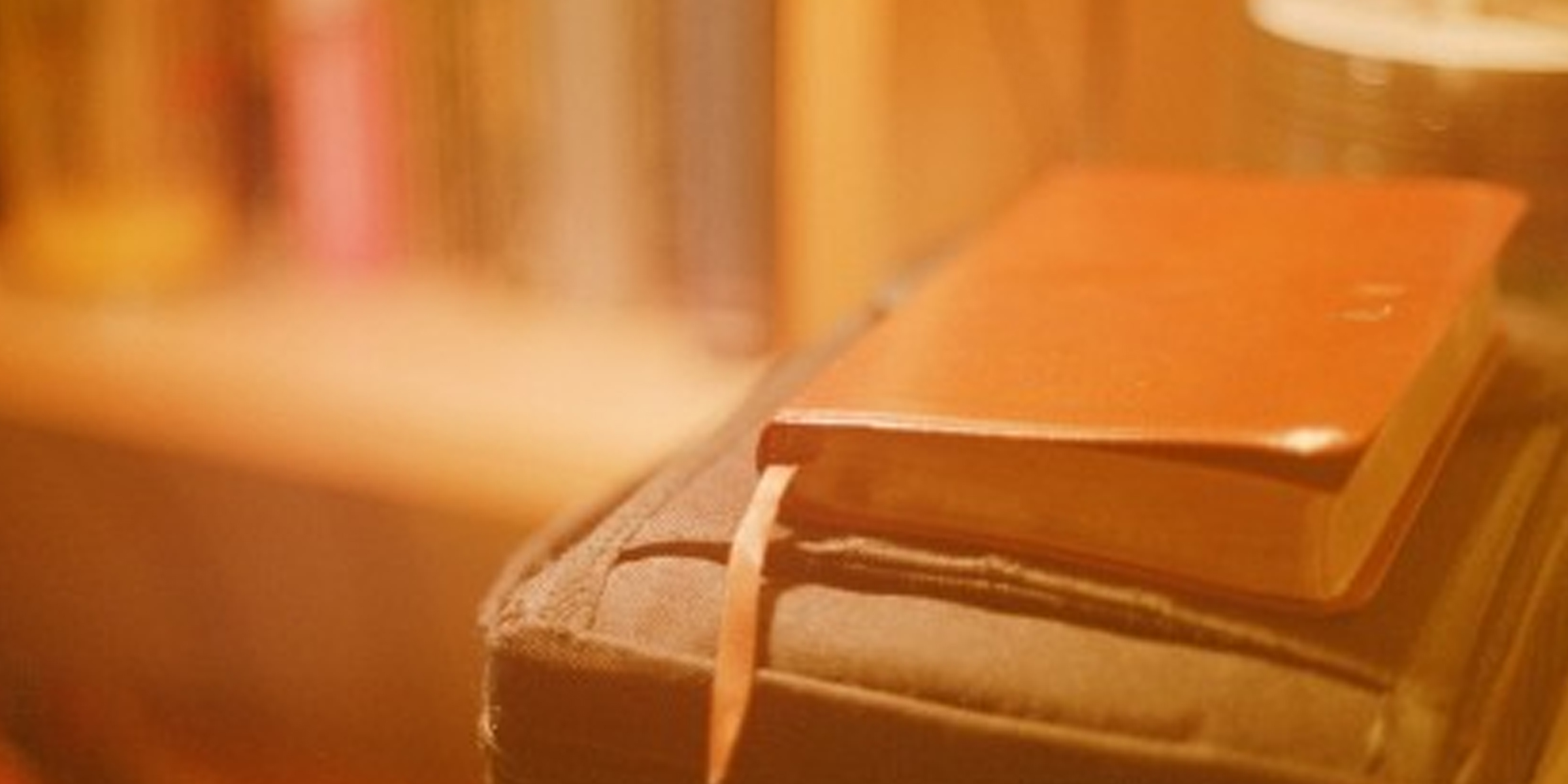 Un libro encuadernado en cuero | Fuente: Flickr(CC BY-SA 2.0)