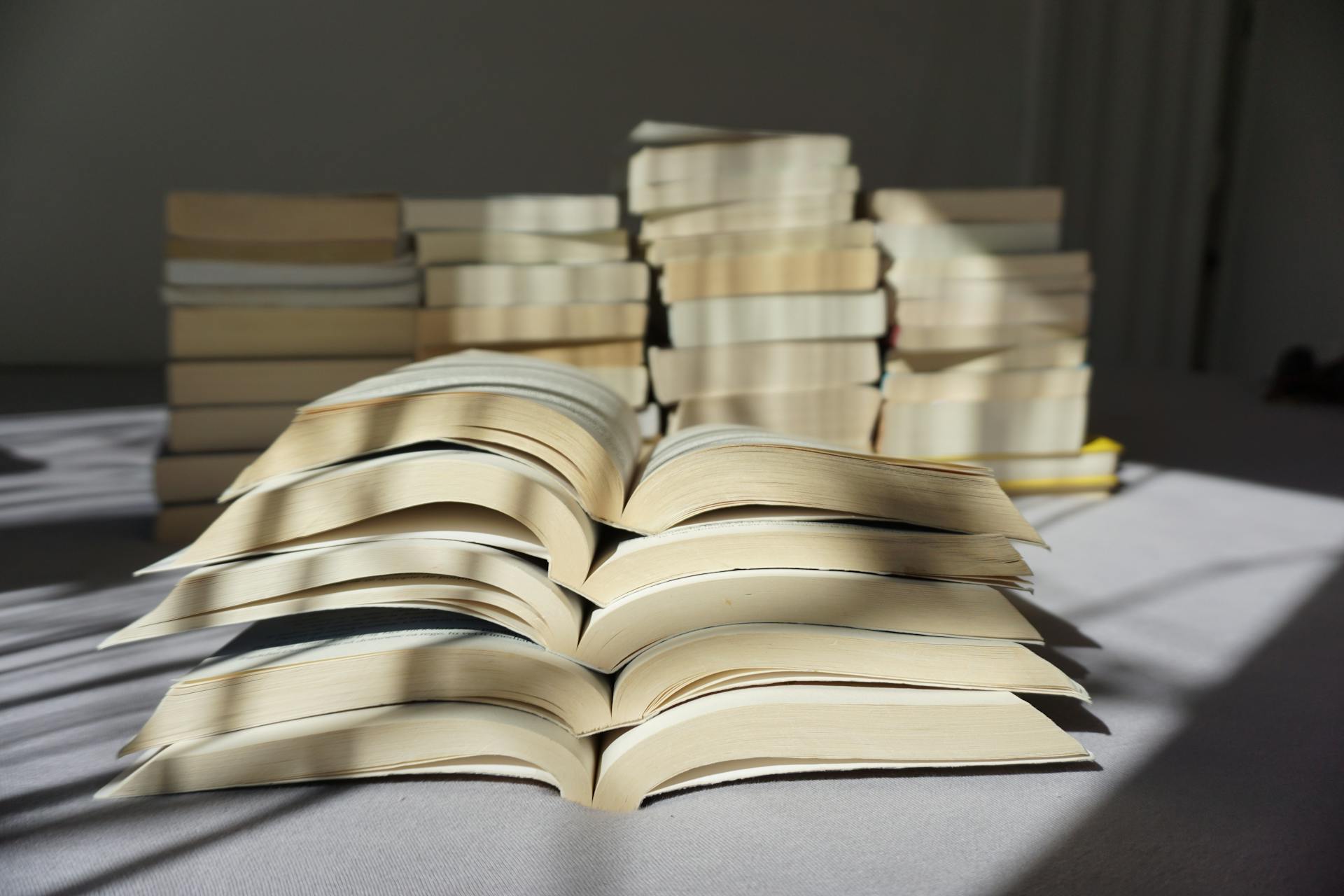 Libros sobre una mesa | Fuente: Pexels
