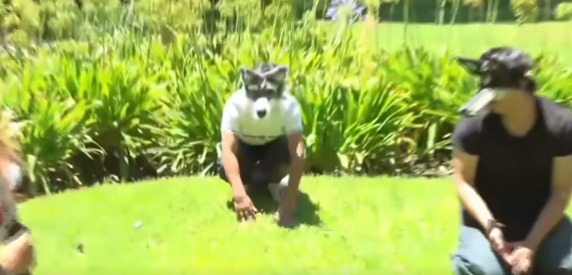 La tendencia viral de los Therian está causando revuelo y críticas en las redes sociales. | Fuente: Facebook/América TV.