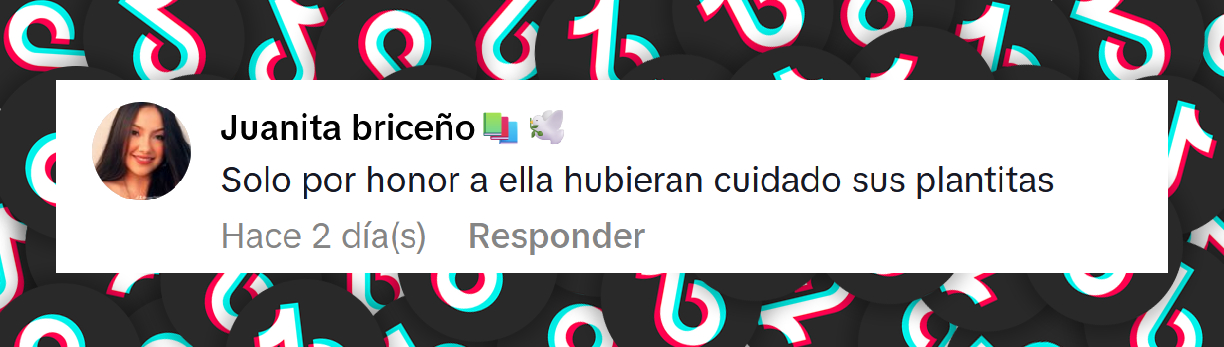 Comentario de una usuaria tras ver el estado actual del salón de belleza que pertenecía a Valeria Márquez | Fuente: TikTok/famososunivision