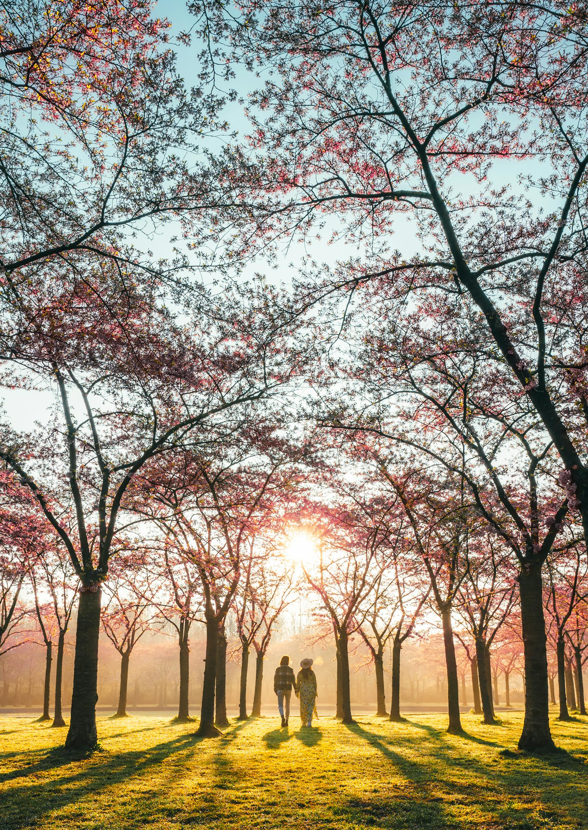 Un plano lejano de una pareja paseando por un parque | Fuente: Pexels