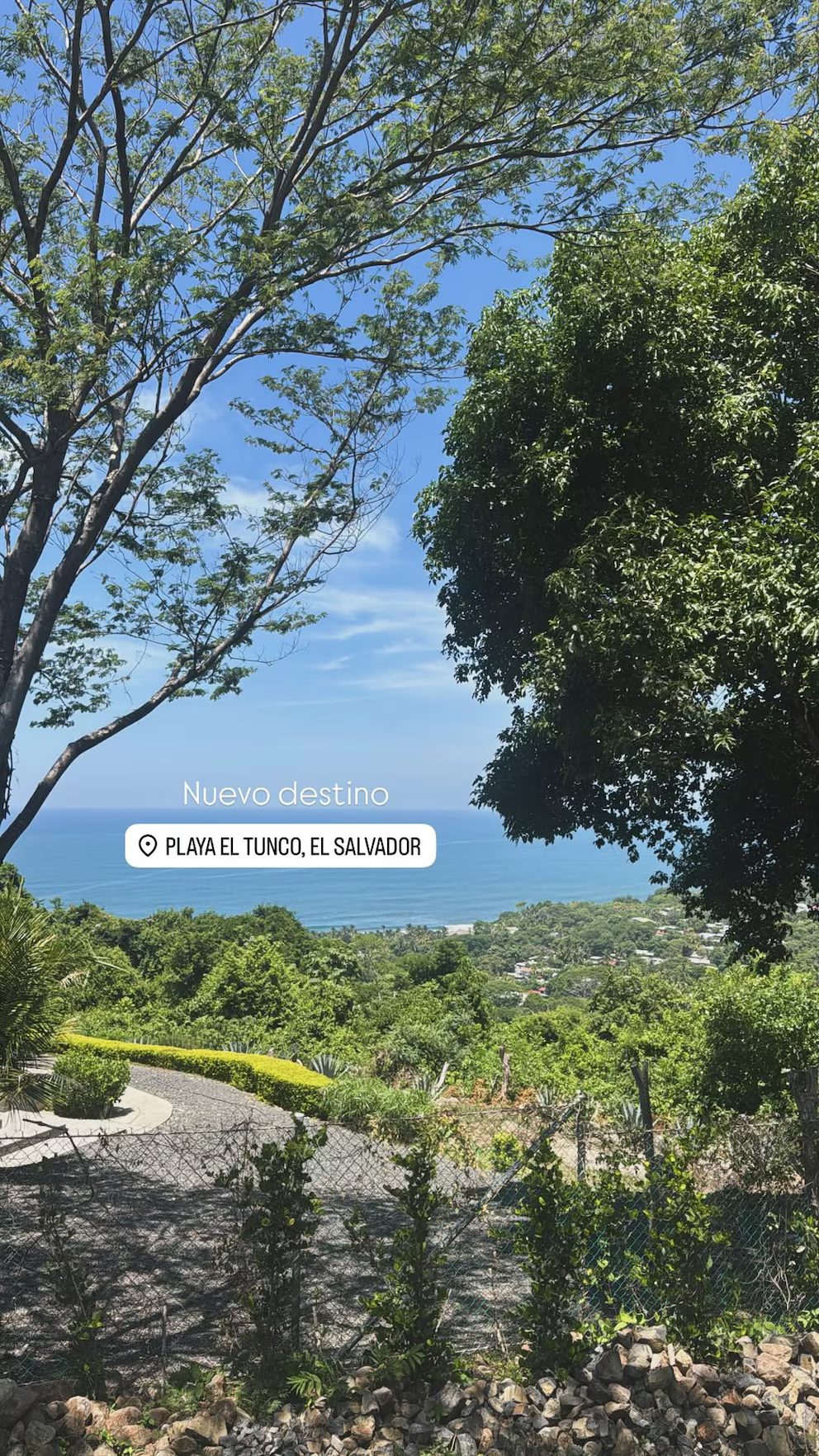 Paula Chaves compartió una fotografía que muestra parte de la vegetación y el ambiente en Playa El Tunco en El Salvador | Fuente: Instagram Stories/chavespauok