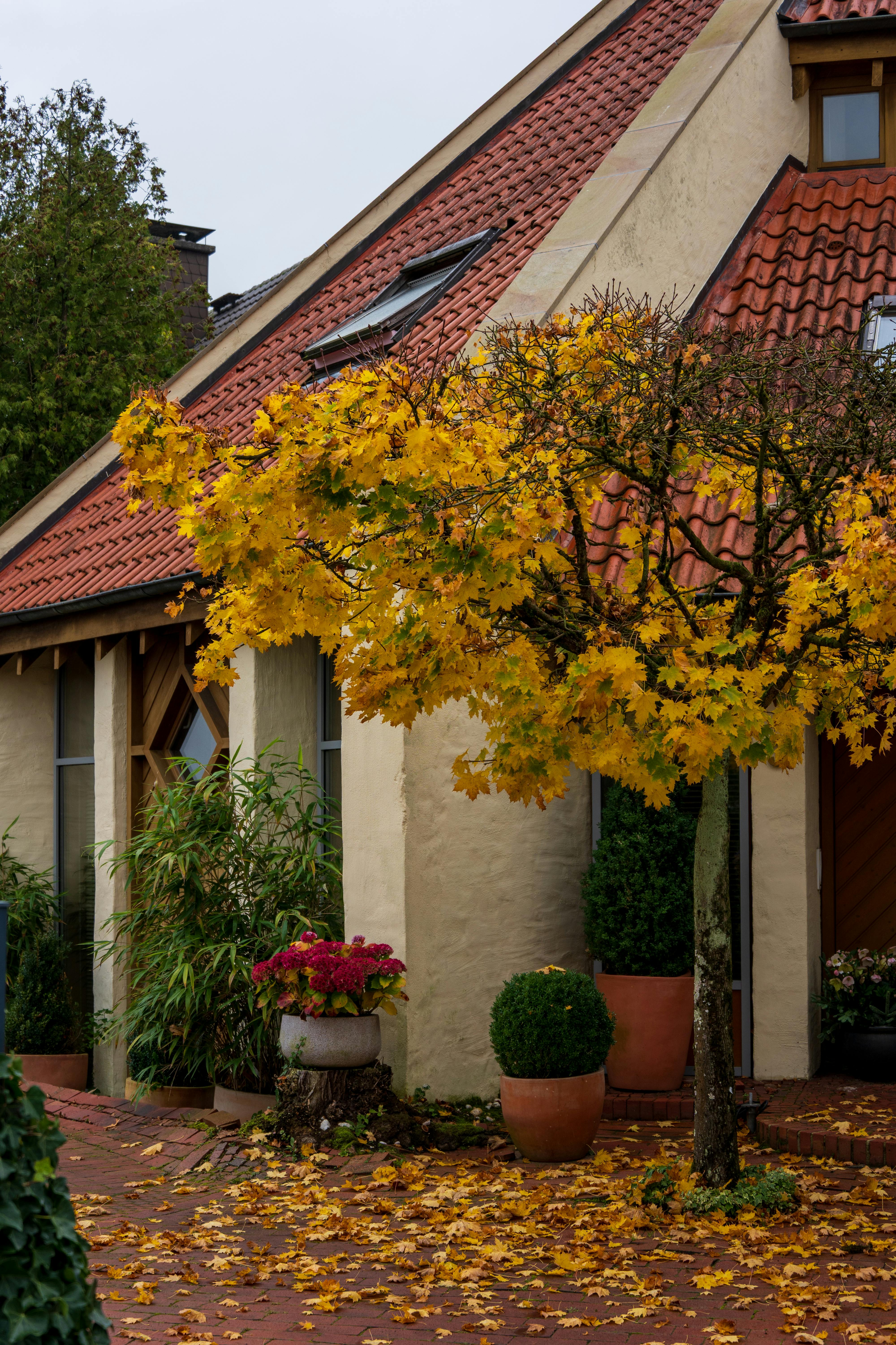 Una casa tranquila | Fuente: Pexels