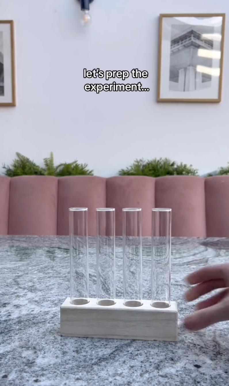 Tubos de ensayo para el experimento de propagación en un clip subido el 5 de octubre de 2024 | Fuente: TikTok/thelittlelifelately
