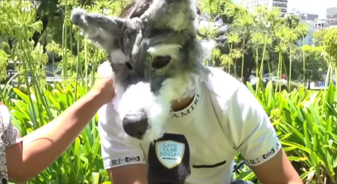Entrevistan a un Therian lobo. | Fuente: Facebook/América TV.