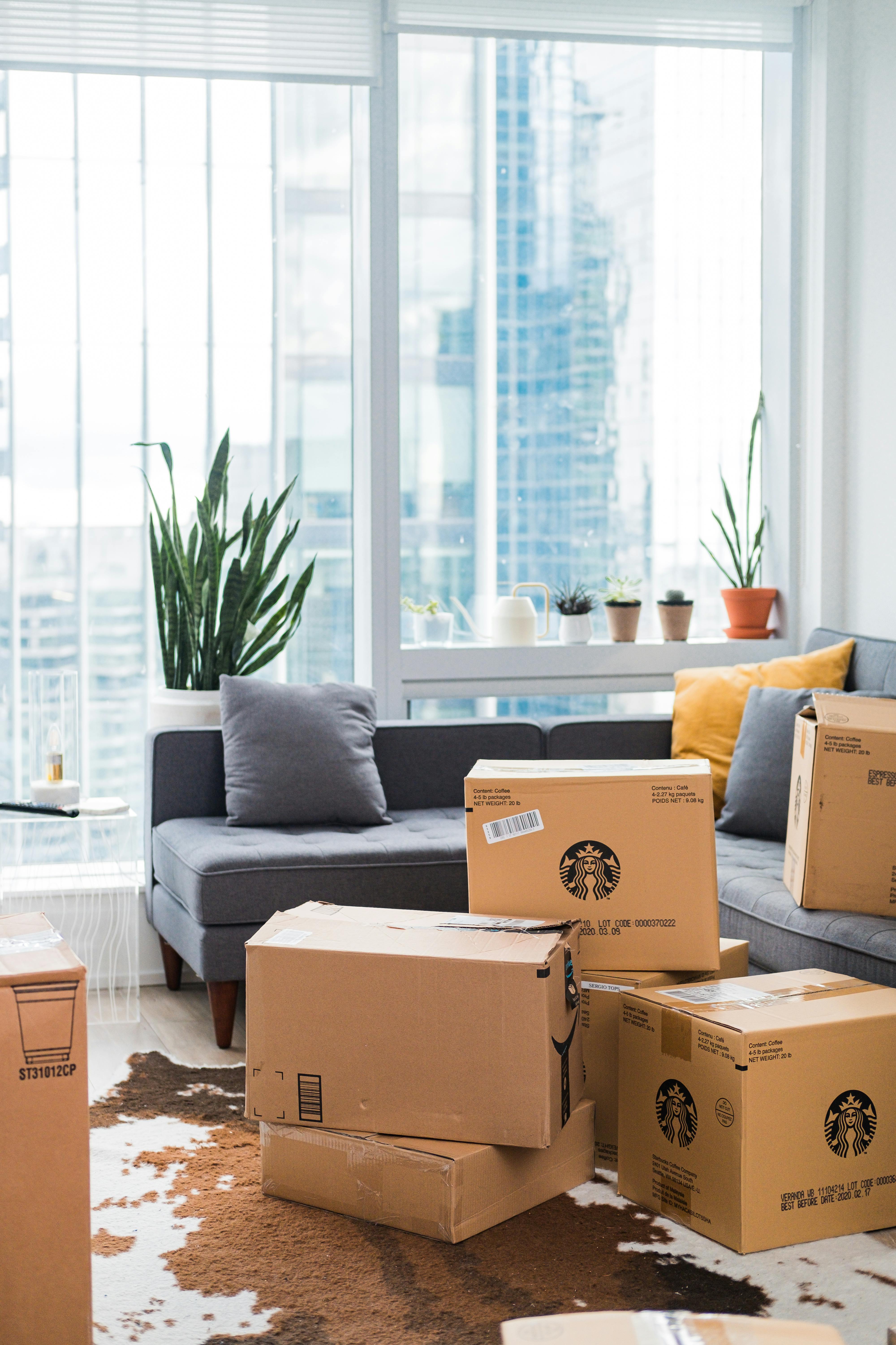Cajas de cartón en un salón | Fuente: Pexels