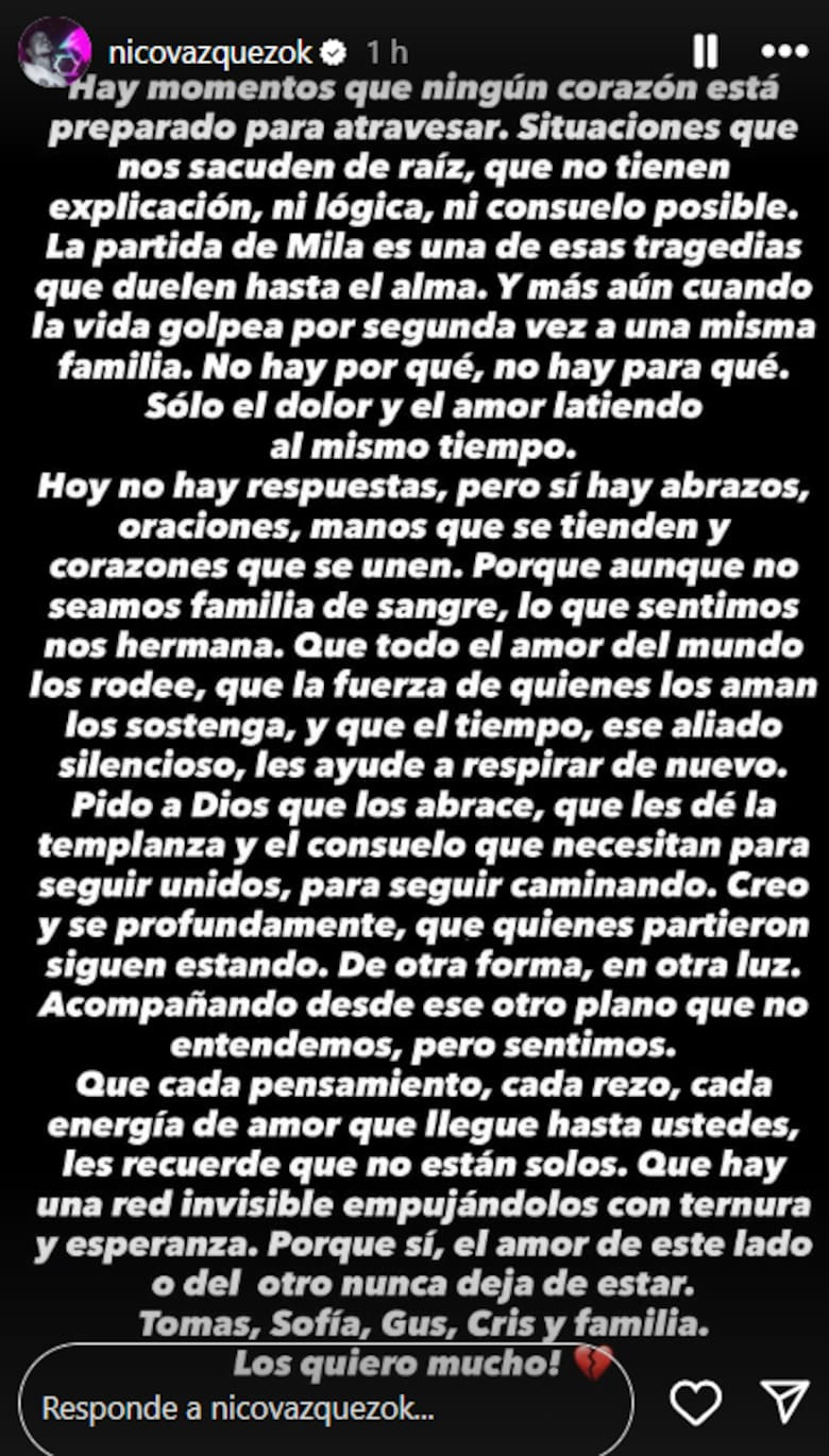 Mensaje de Nicolás Vázquez tras la muerte de Mila | Fuente: Instagram Stories/nicovazquezok