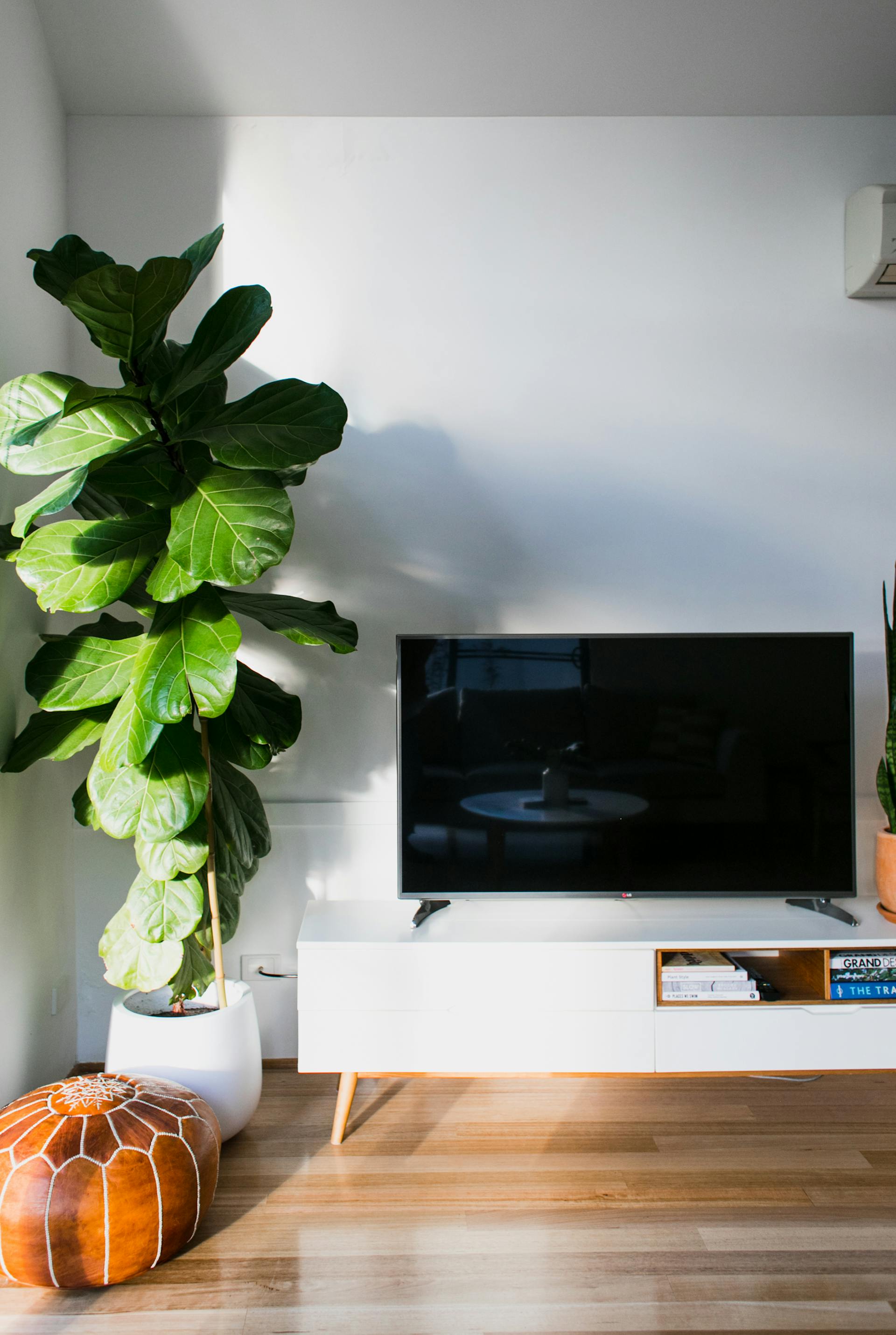 Image for illustrative purposes | Photo: Source: Pexels