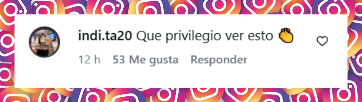 Comentario de una usuaria | Fuente: Instagram/ellitoral