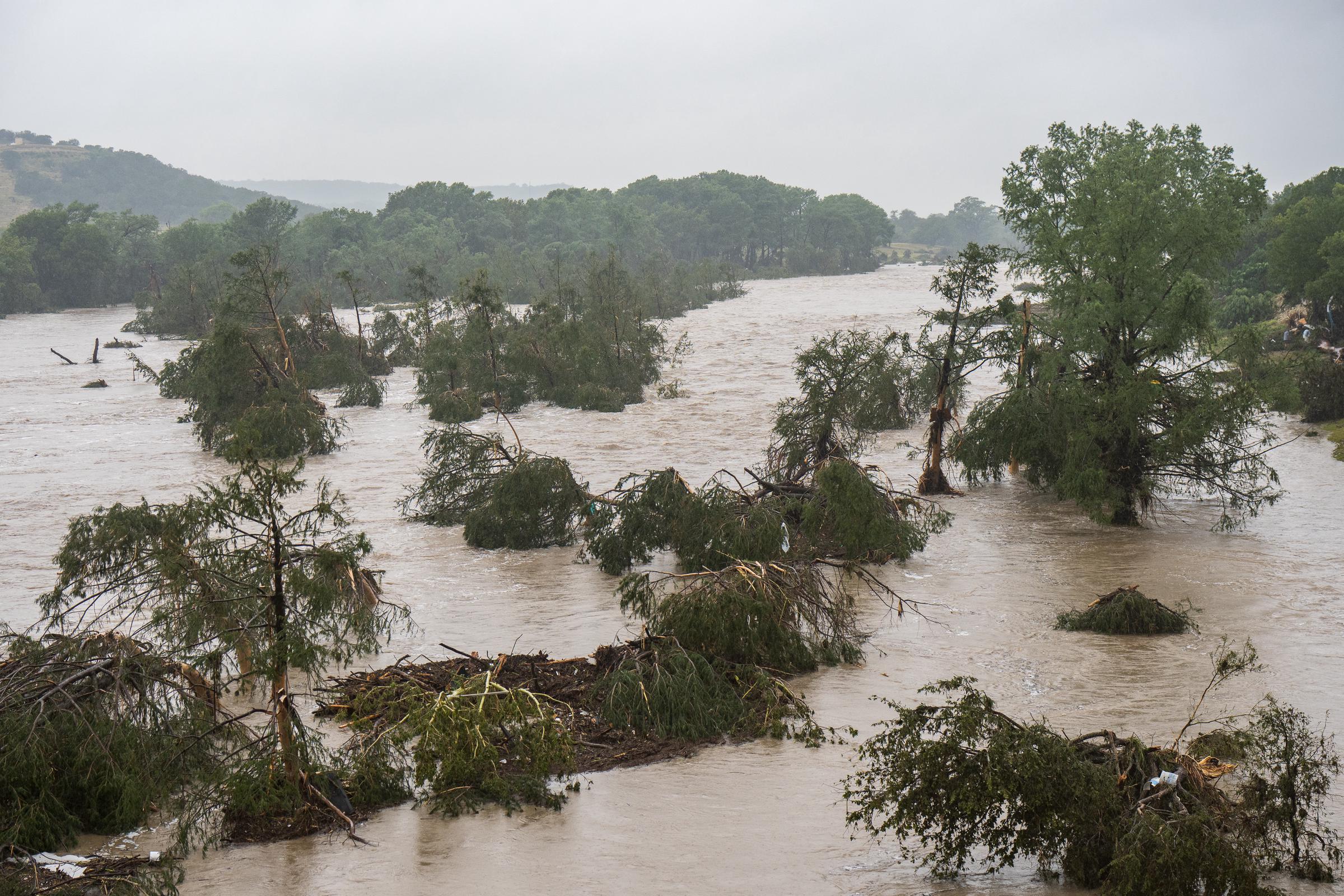 Árboles emergen de las aguas de la crecida a lo largo del río Guadalupe el 4 de julio de 2025 en Kerrville, Texas. | Fuente: Getty Images