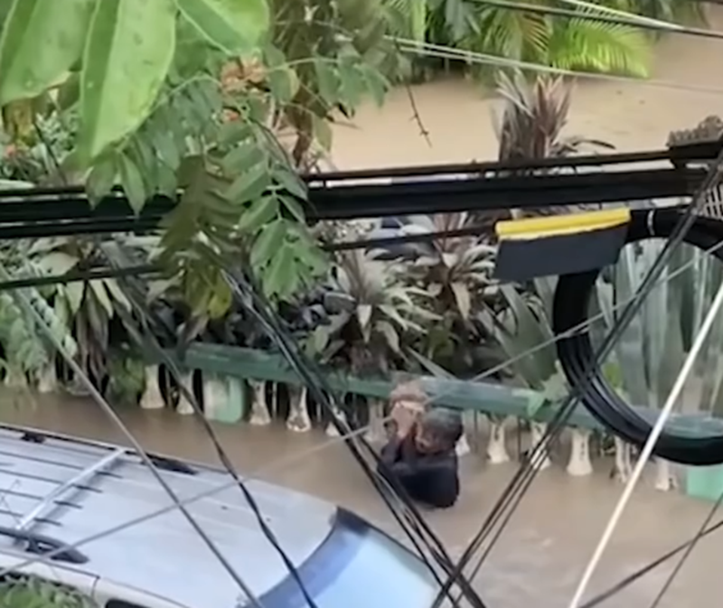 El hombre alzando al perro en brazos para ponerlo a salvo | Fuente: Instagram/latinus_us