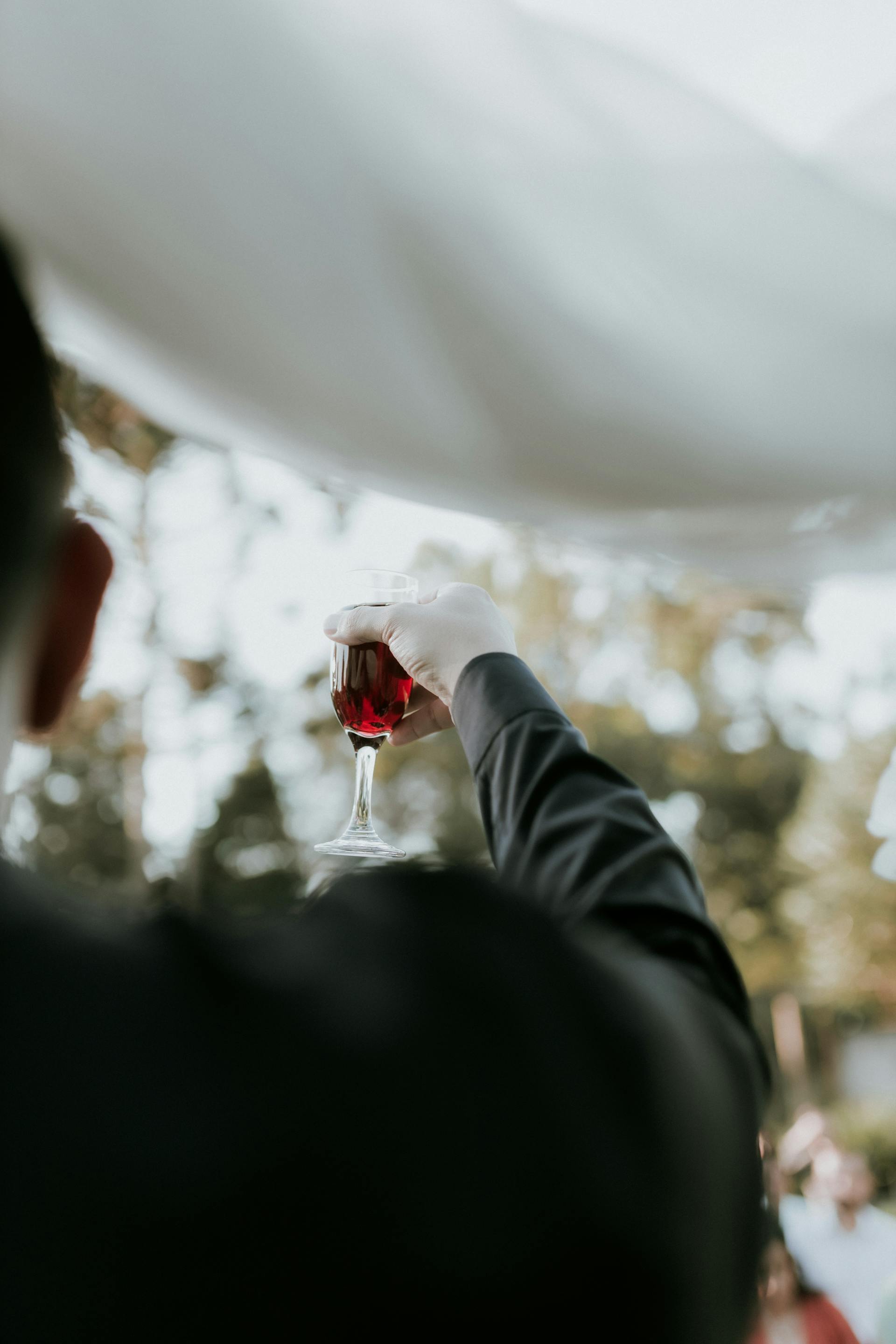 Primer plano de un hombre brindando con vino | Fuente: Pexels
