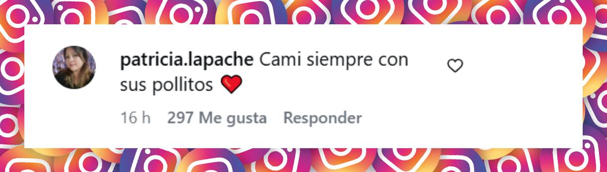 Comentario de una usuaria | Fuente: Instagram/camihoms
