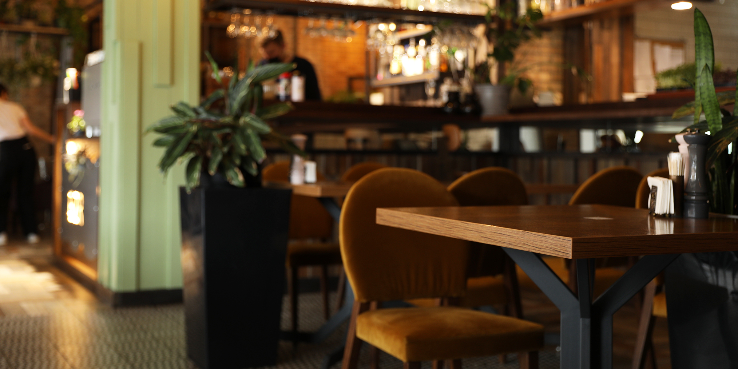Una cafetería acogedora y moderna con iluminación cálida, sillas de terciopelo y un ambiente relajado y acogedor | Fuente: Shutterstock