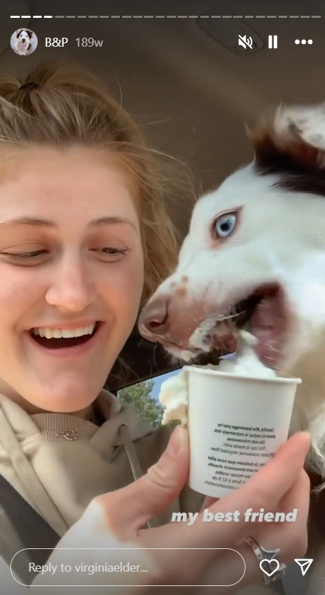 Virginia Elder da de comer helado apto para perros a Bleau | Fuente: Instagram/virginiaelder