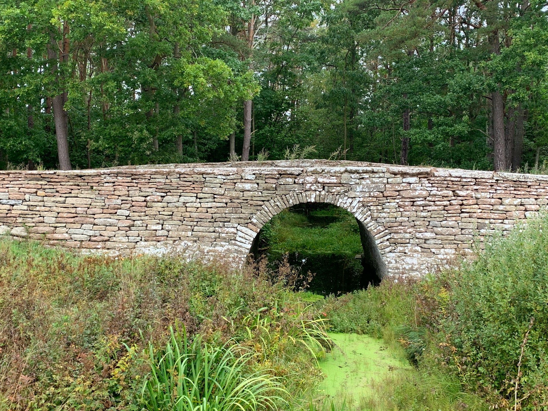 Un puente de piedra | Fuente: Unsplash