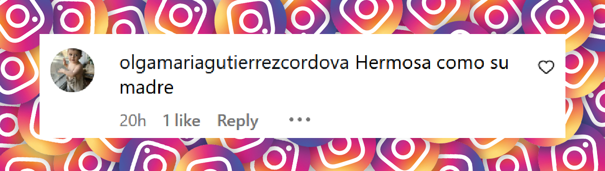 Comentario de una usuaria sobre la foto en la que Natalie Weber posó con su hija Mía de 13 años | Fuente: Instagram/revistagenteok