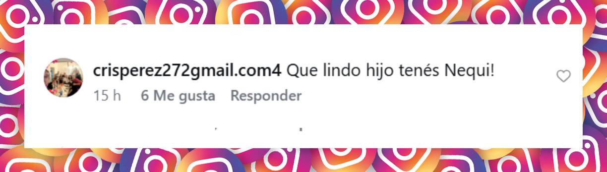 Comentario de una usuaria | Fuente: Instagram/nequigalotti