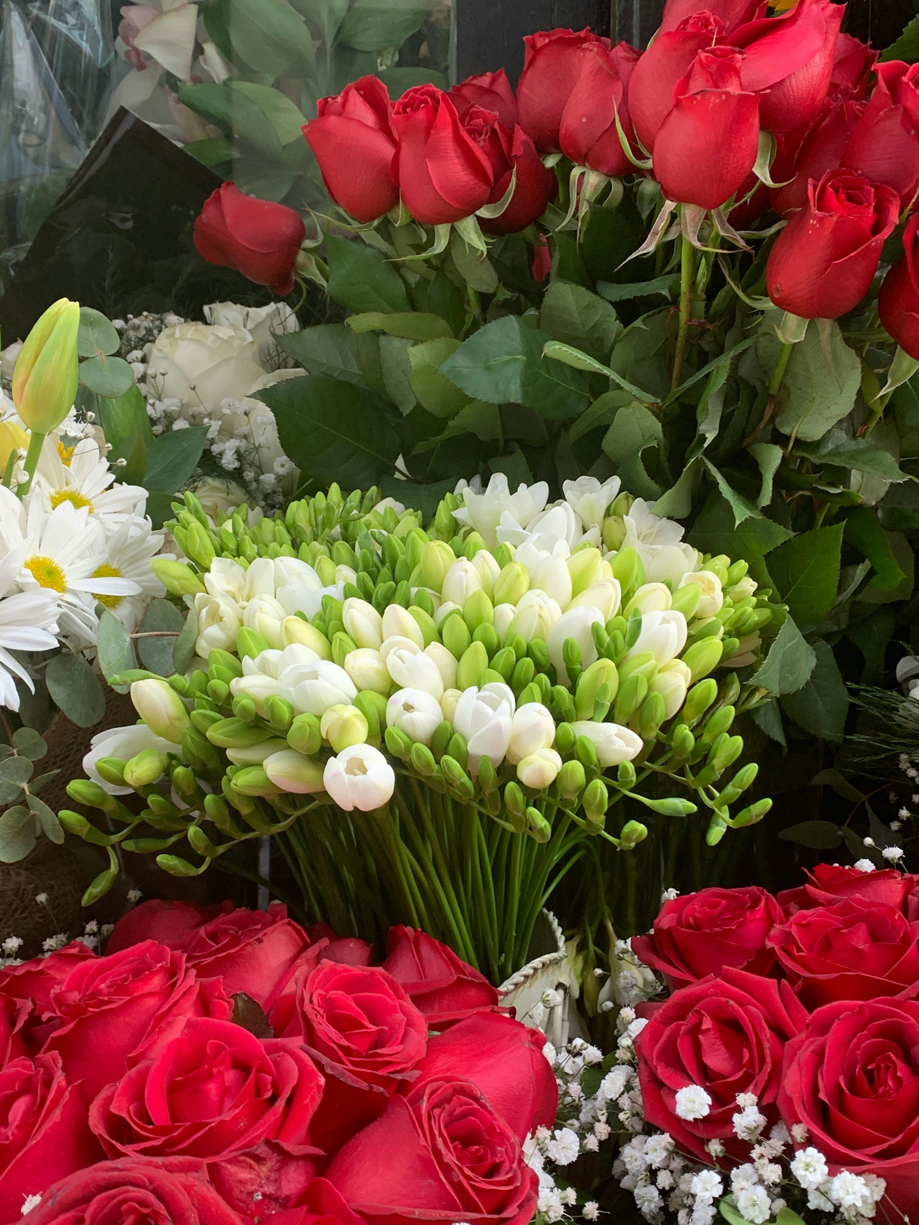 Rosas y freesias en una floristería | Fuente: Pexels