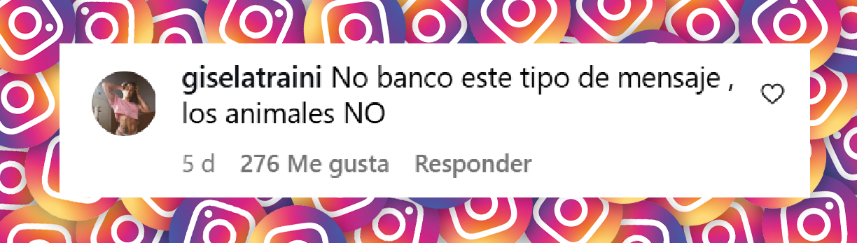 Mensaje de una persona al ver las fotos de Juli Poggio en las que posa junto a elefantes. | Fuente: Instagram/@poggiojulieta