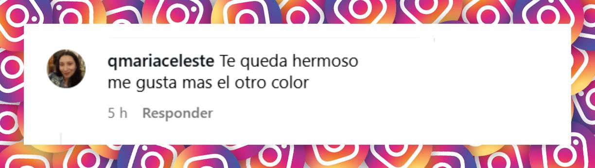 Comentario de una seguidora | Fuente: Instagram/melodyluz