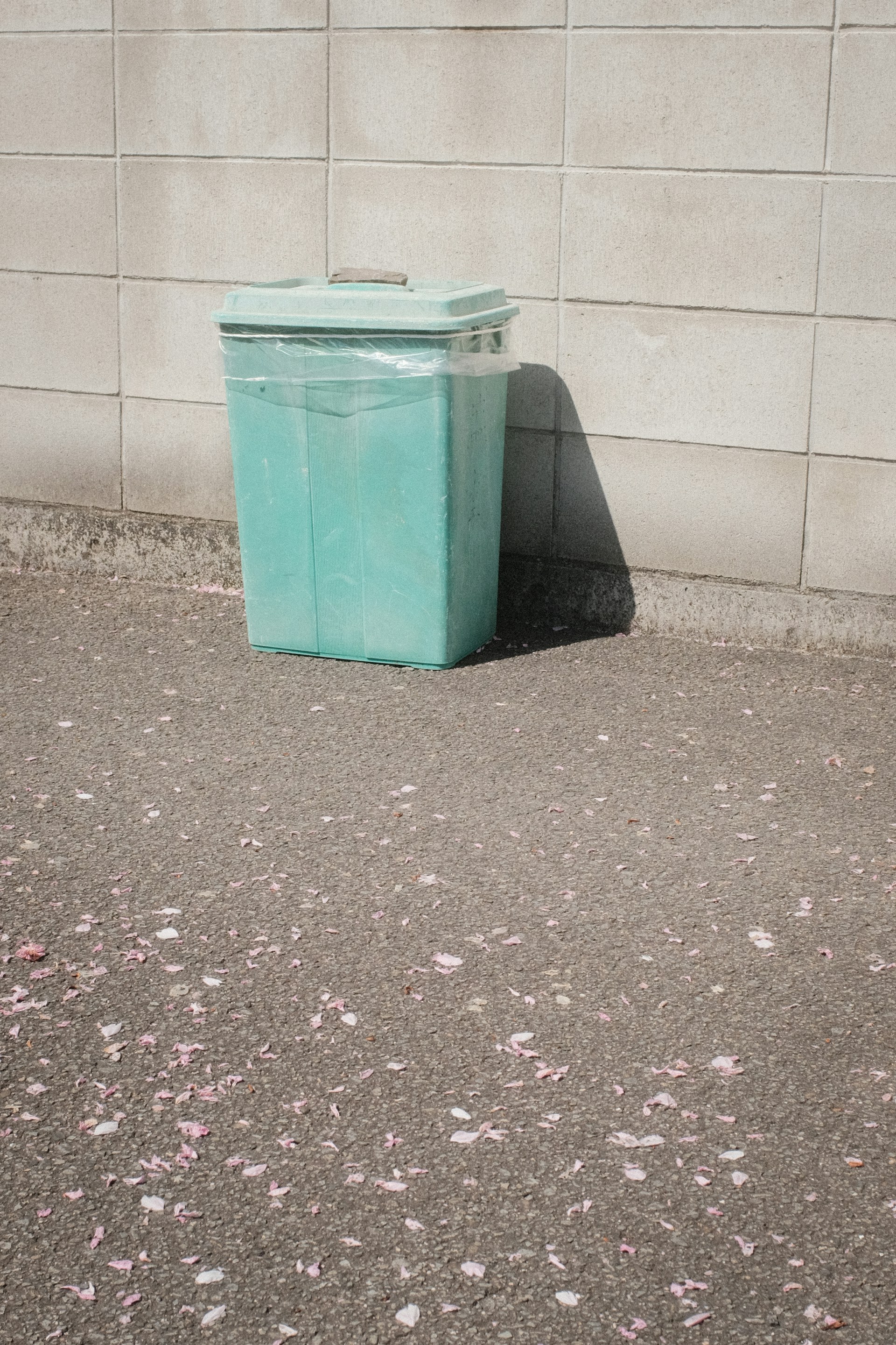 Un cubo de basura | Fuente: Unsplash