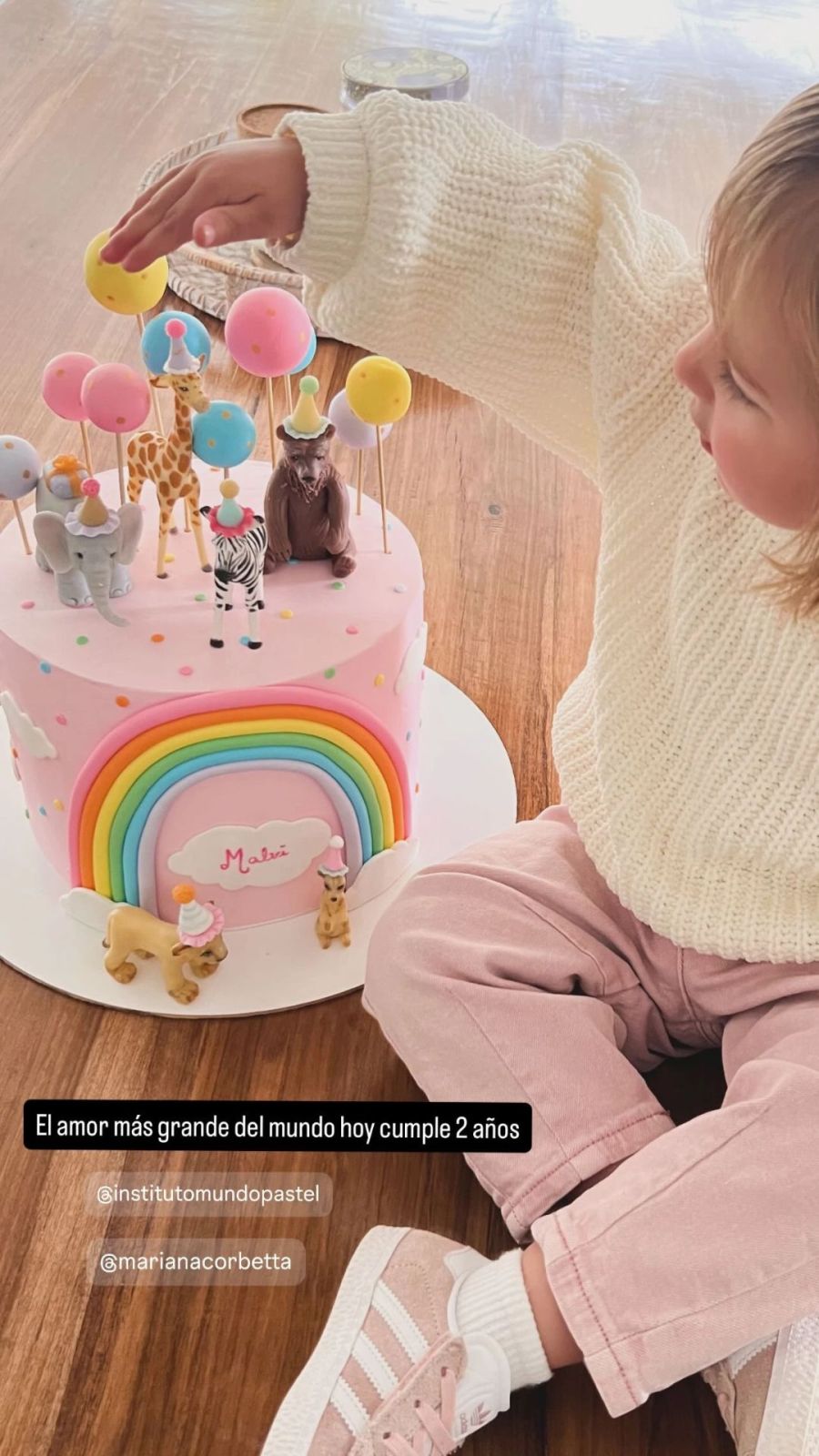 Jimena Monteverde mostró una foto de su nieta Malvina en su cumpleaños junto a su pastel | Fuente: Instagram Stories/jimemonteverde