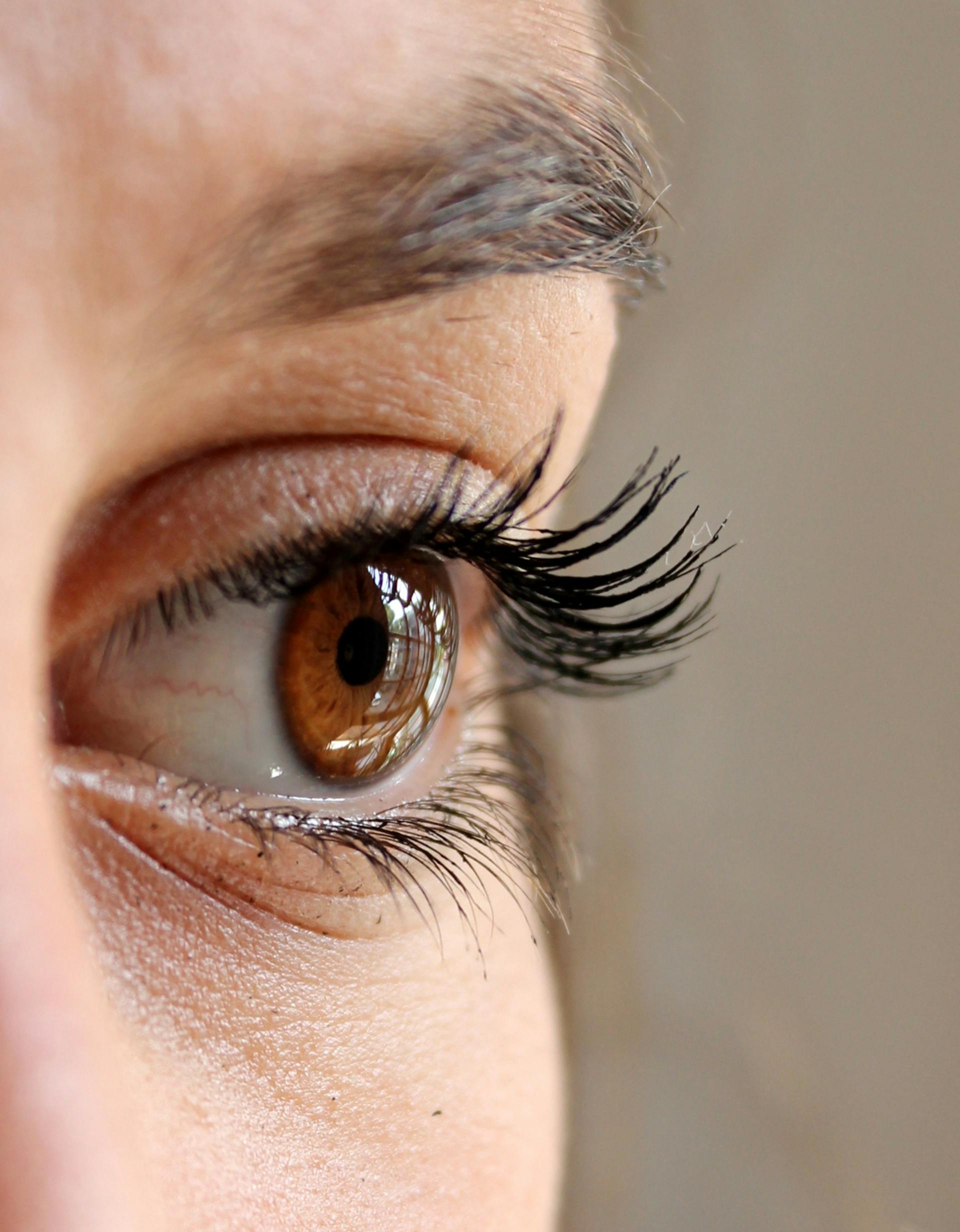 Primer plano del ojo de una mujer | Fuente: Pexels