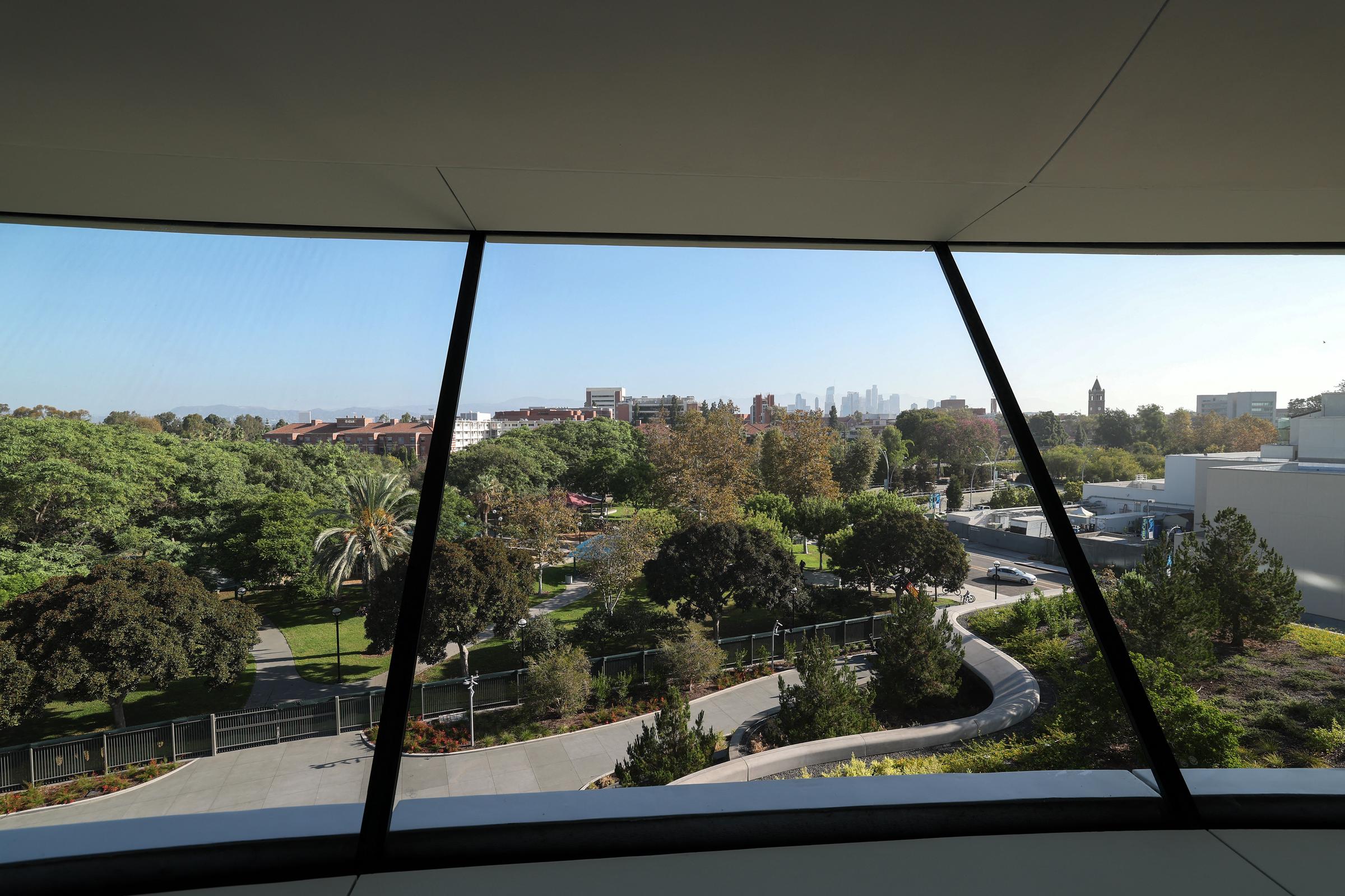 Desde los grandes ventanales del museo se divisa el jardín paisajístico, donde el césped, los árboles y los senderos sinuosos rodean el edificio. Este espacio verde forma parte del recinto de 13 acres del museo, situado en Exposition Park. | Fuente: Getty Images