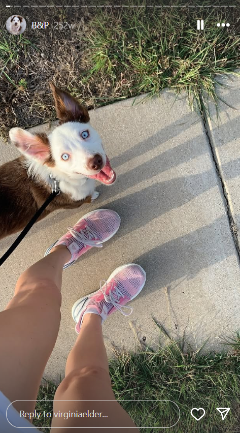 El perro de Virginia Elder, Bleau | Fuente: Instagram/virginiaelder